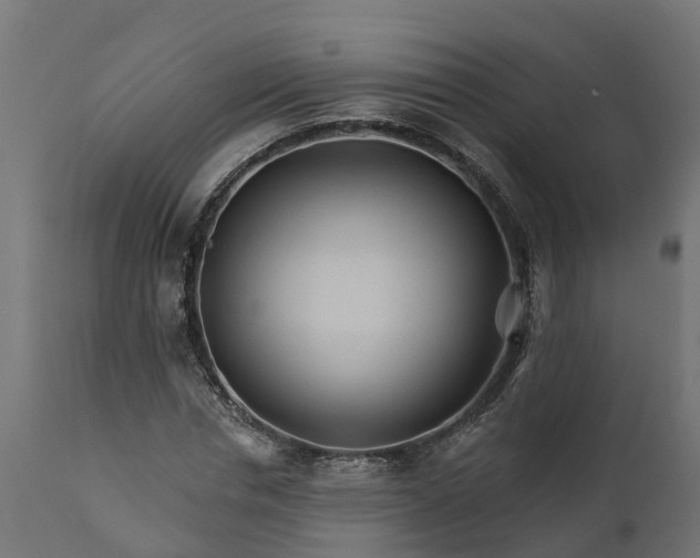 X0000111510826200907281312