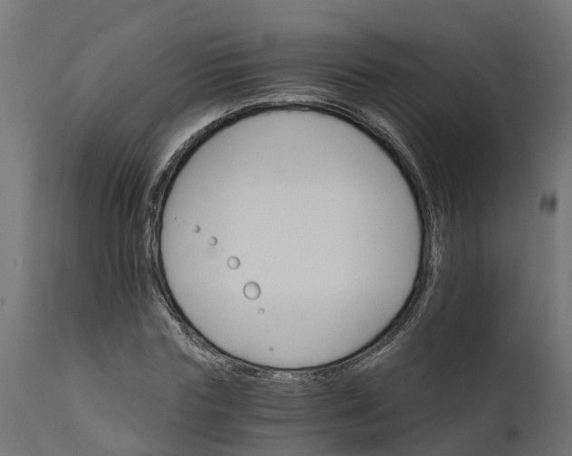 X0000111510827200907281312