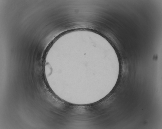 X0000111510828200907281312