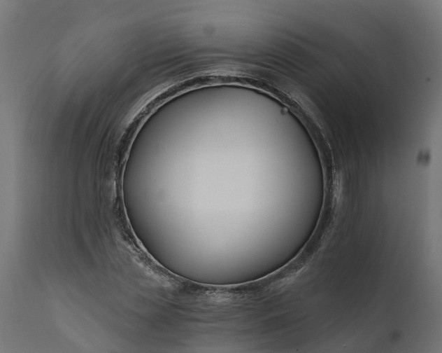 X0000111510829200907281312