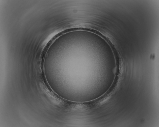 X0000111510830200907281312