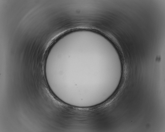 X0000111510831200907281312