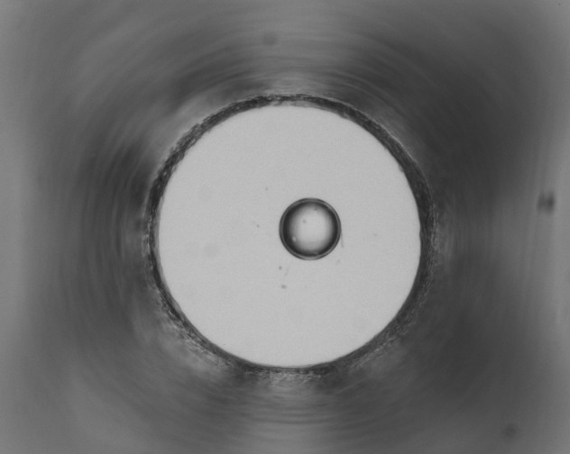X0000111510832200907281312