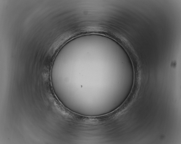 X0000111510833200907281312