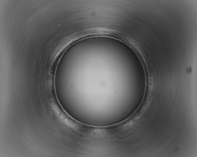 X0000111510835200907281312