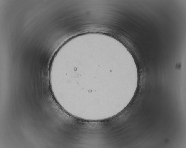 X0000111510836200907281312
