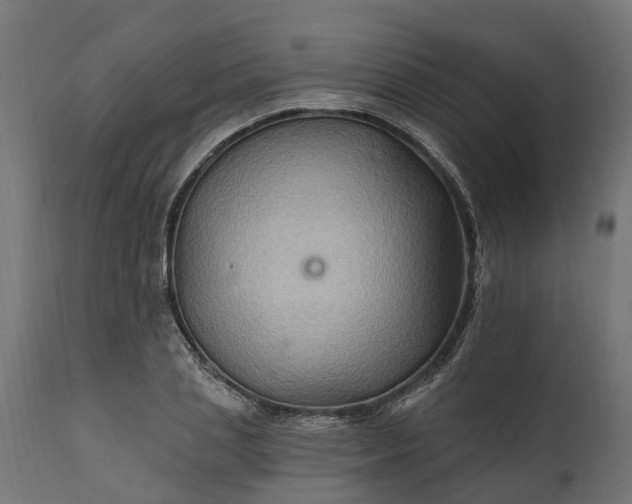 X0000111510837200907281312