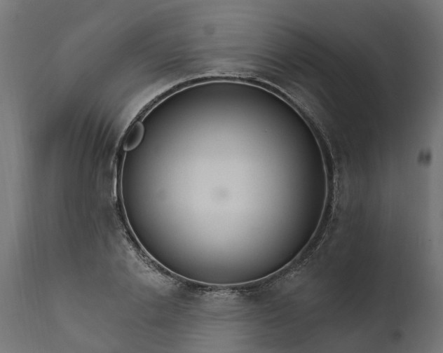 X0000111510838200907281312