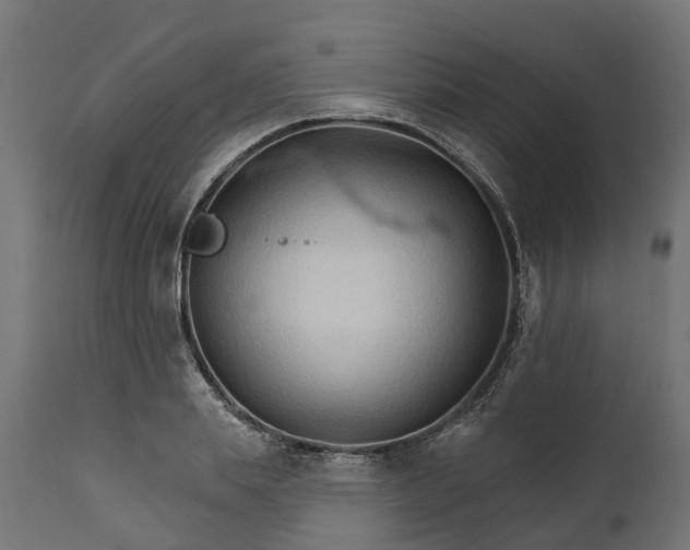 X0000111510839200907281312