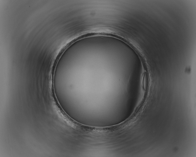 X0000111510840200907281312