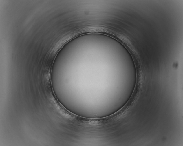 X0000111510841200907281312