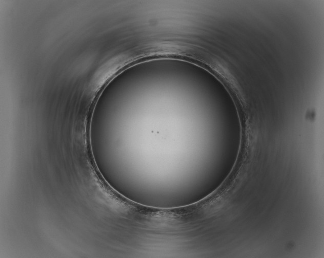 X0000111510842200907281312
