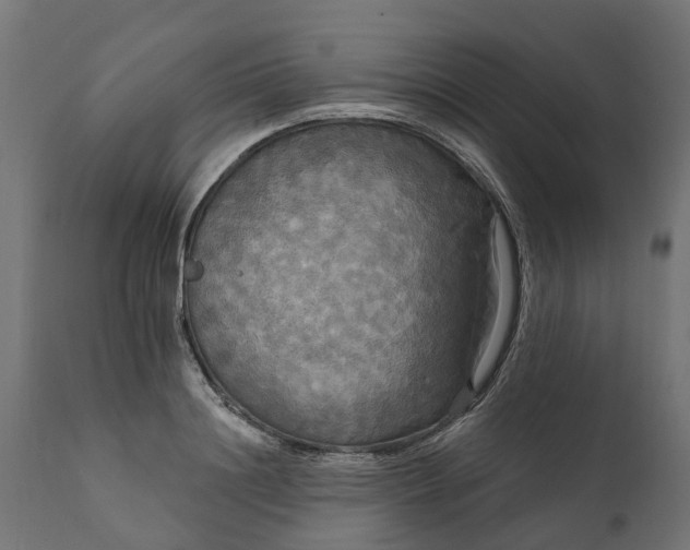 X0000111510844200907281312
