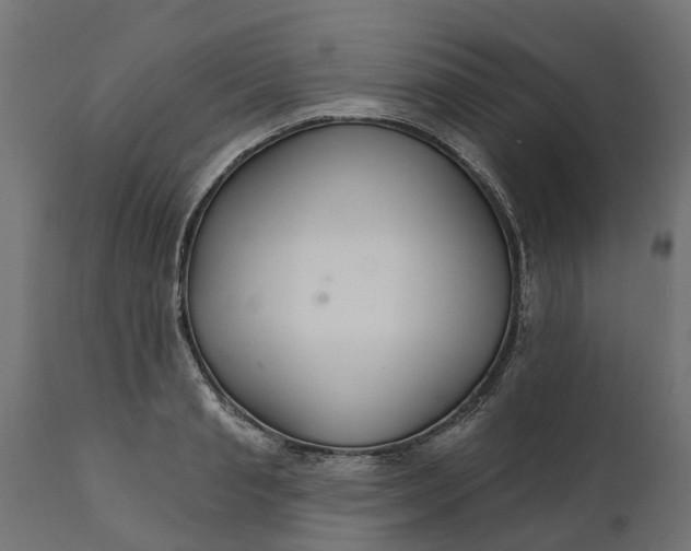 X0000111510845200907281312
