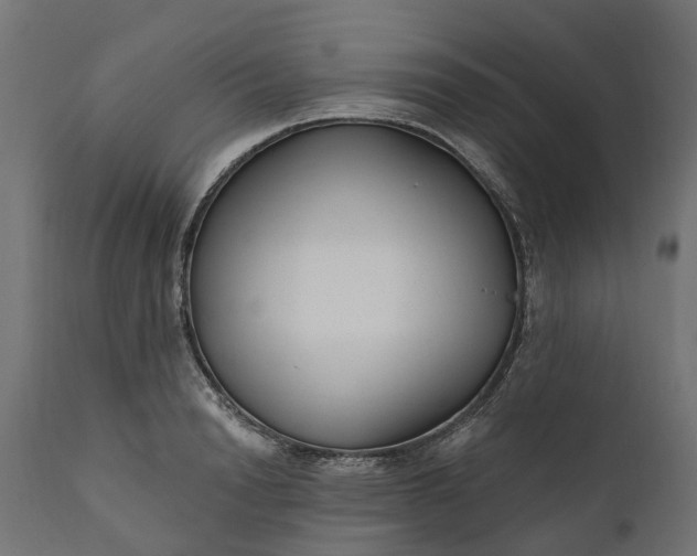 X0000111510846200907281312