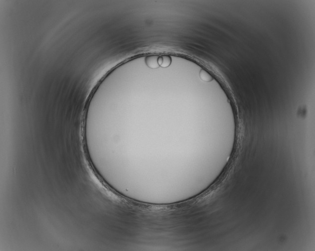 X0000111510847200907281312