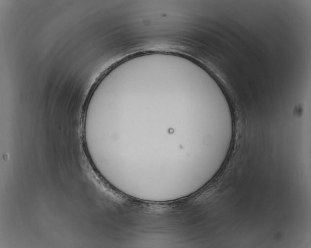 X0000111510848200907281312