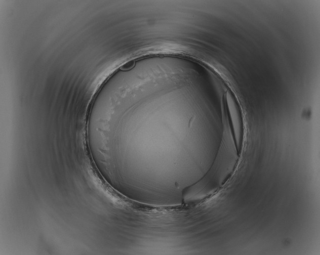 X0000111510850200907281312