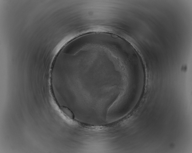 X0000111510853200907281312