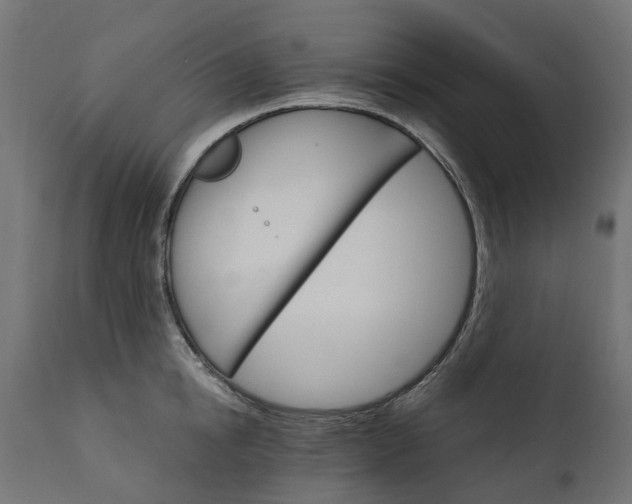 X0000111510854200907281312