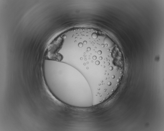 X0000111510855200907281312