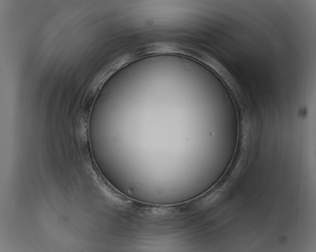 X0000111510857200907281312