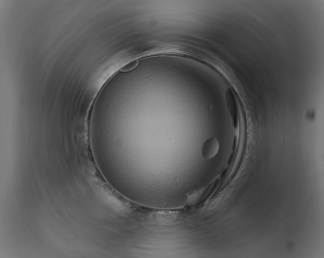 X0000111510858200907281312