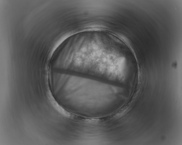 X0000111510859200907281313