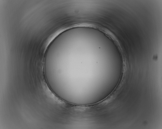 X0000111510860200907281313