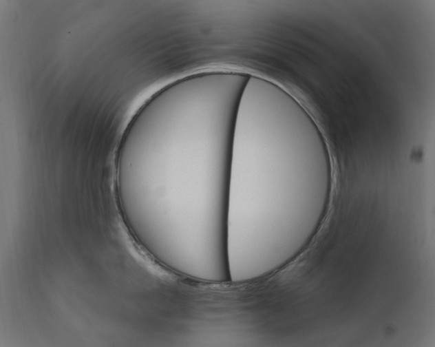 X0000111510862200907281313