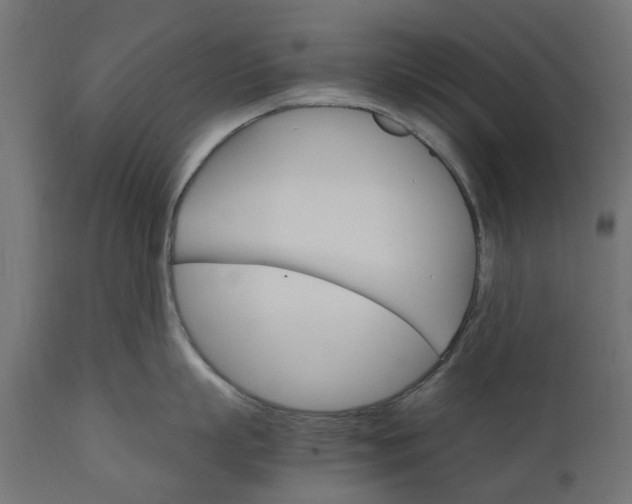 X0000111510863200907281313