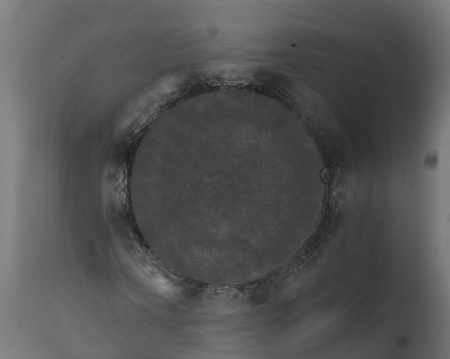 X0000111510866200907281312