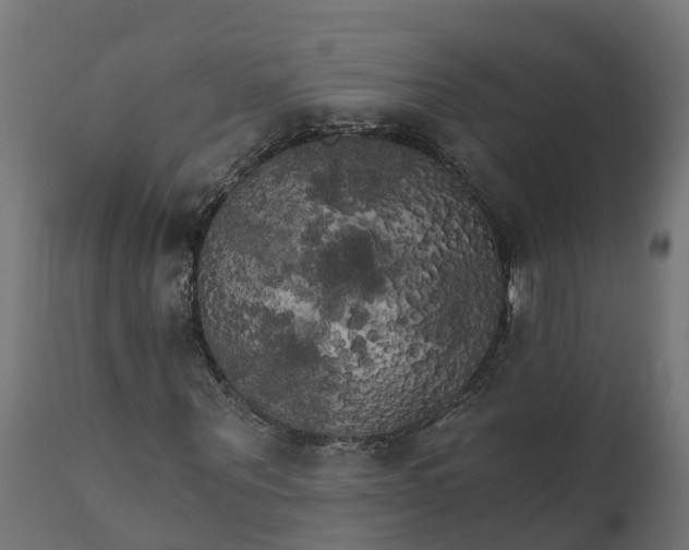 X0000111510867200907281312