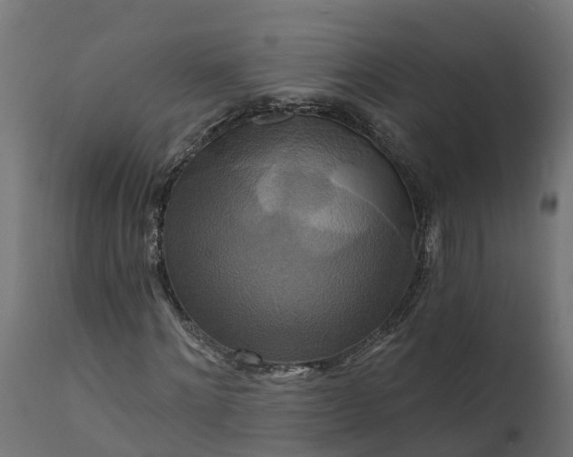 X0000111510868200907281312