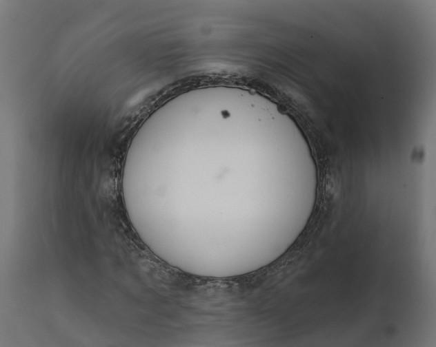 X0000111510869200907281312