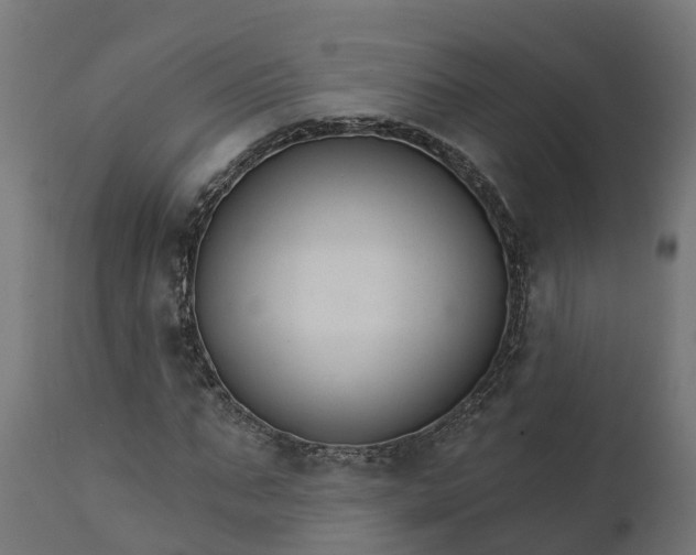 X0000111510871200907281312