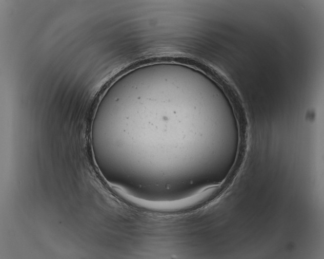 X0000111510873200907281312
