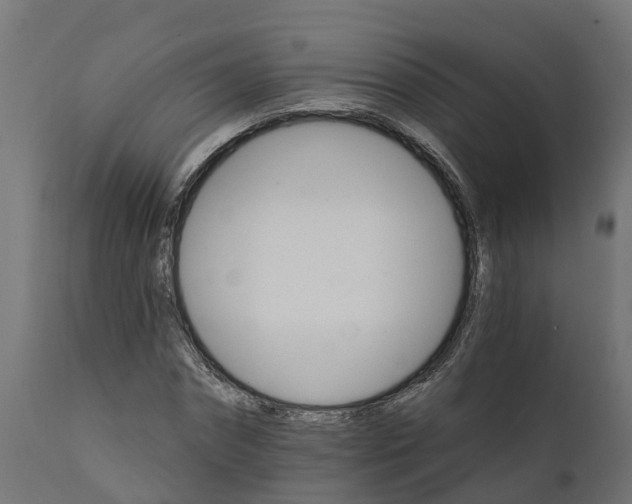 X0000111510874200907281312