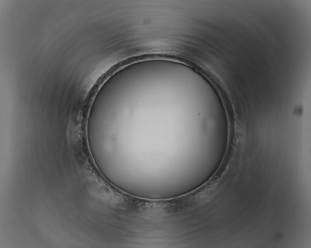 X0000111510875200907281312
