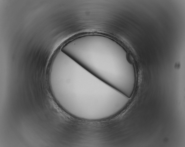 X0000111510876200907281312
