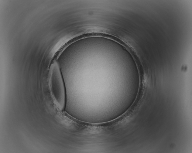 X0000111510877200907281312