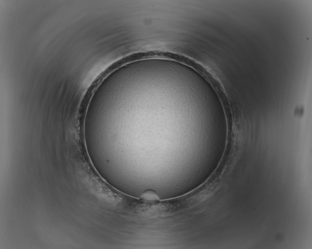 X0000111510879200907281312
