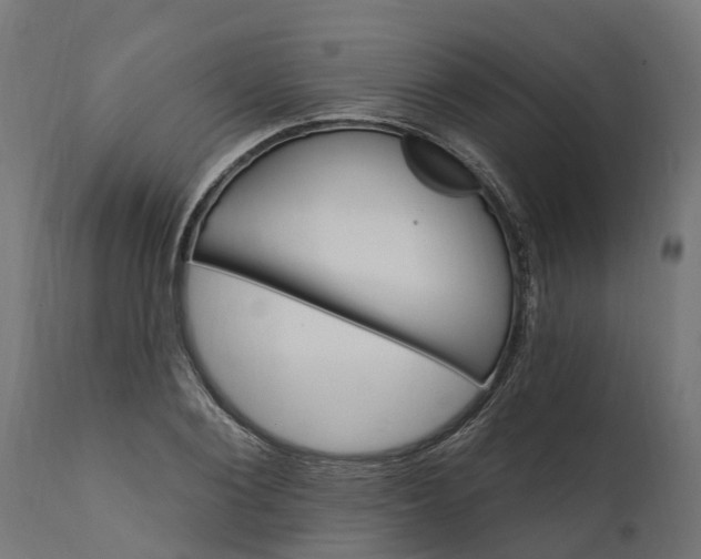 X0000111510884200907281312