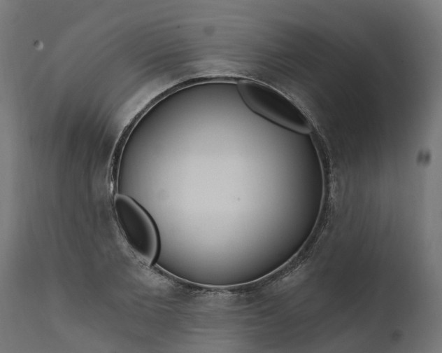 X0000111510885200907281312