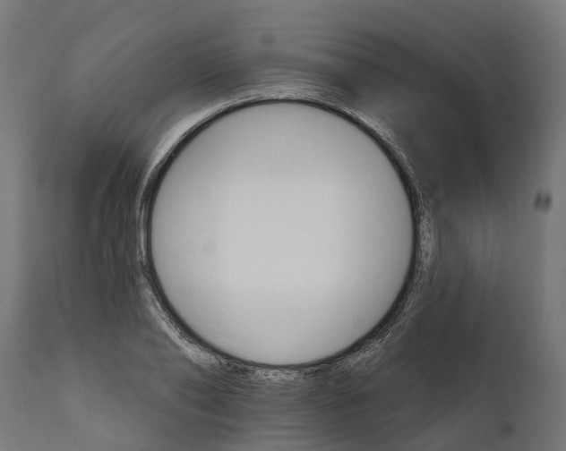 X0000111510886200907281312