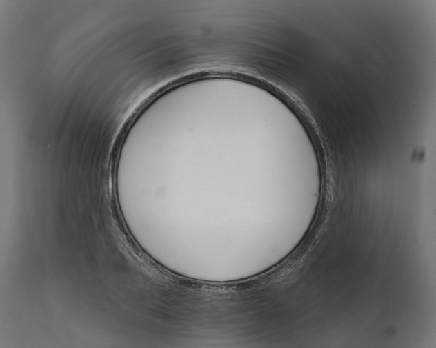 X0000111510887200907281312
