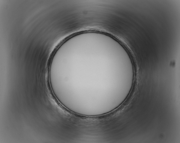 X0000111510888200907281312
