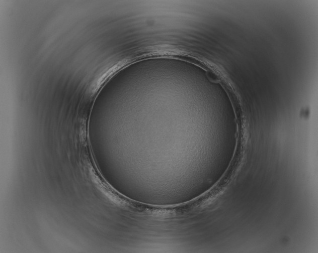 X0000111510889200907281312