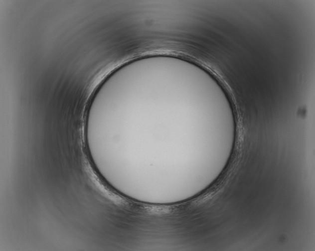 X0000111510890200907281312