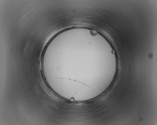 X0000111510891200907281312
